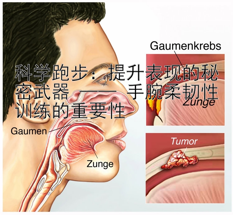 科学跑步：提升表现的秘密武器 —— 手腕柔韧性训练的重要性