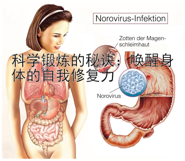 科学锻炼的秘诀：唤醒身体的自我修复力